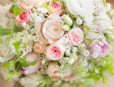 les meilleurs fleuristes de la région